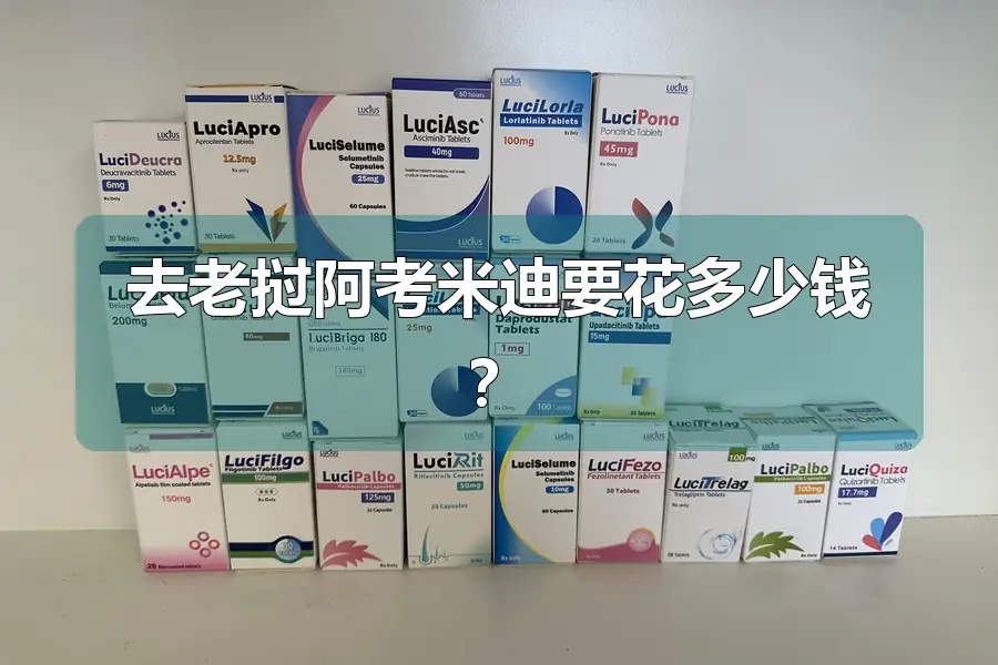 去老挝阿考米迪要花多少钱?